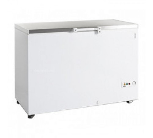 Скриня морозильна Tefcold FR305S-I