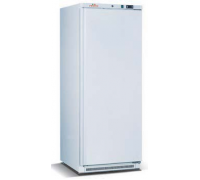 Шафа морозильна FROSTY BD400W