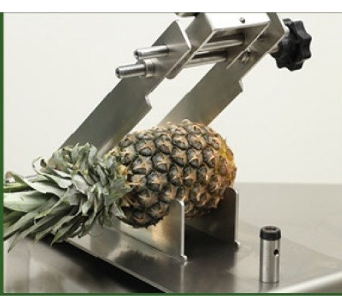 Машина для очищення ананасів CANCAN 0810