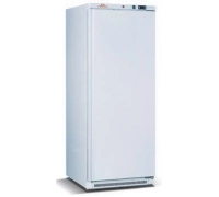 Шафа морозильна FROSTY BD400W