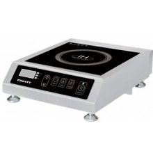 Плита індукційна FROSTY 35-T1