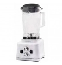 Блендер професійний FROSTY FB-X6