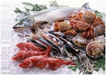 Камера шокової заморозки